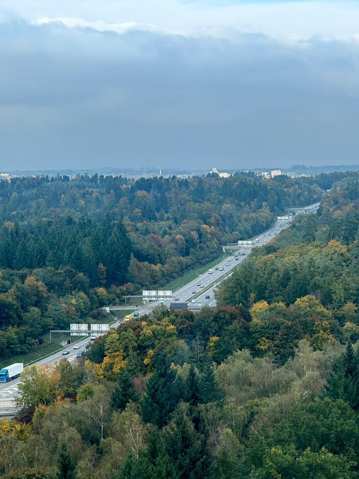 PHOTO 2025 10 11 10 56 10 1